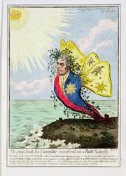 The Great South Sea Caterpillar Transformed into a Bath Butterfly